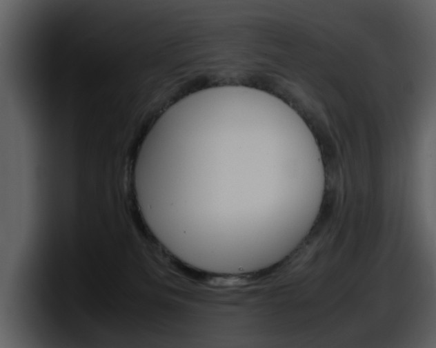 X0000098100133200804040754