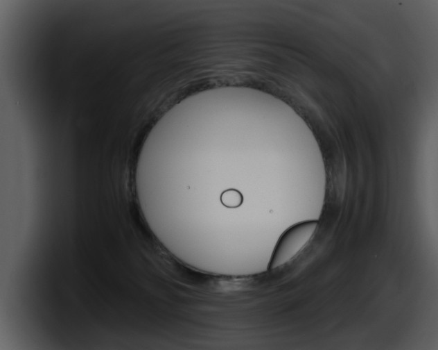 X0000098100134200804040754