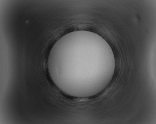 X0000098100135200804040754