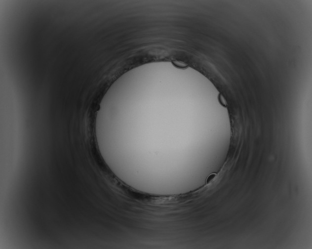 X0000098100136200804040754