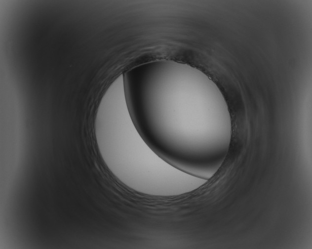 X0000098100137200804040754