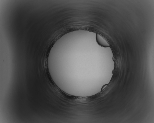 X0000098100138200804040754
