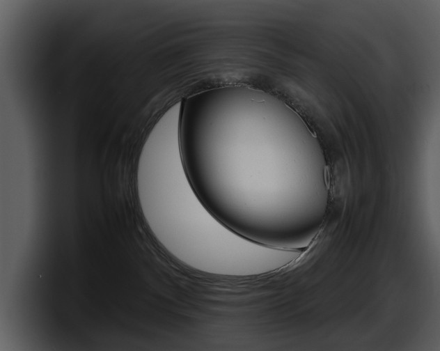 X0000098100140200804040754