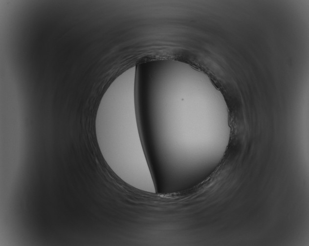 X0000098100141200804040754