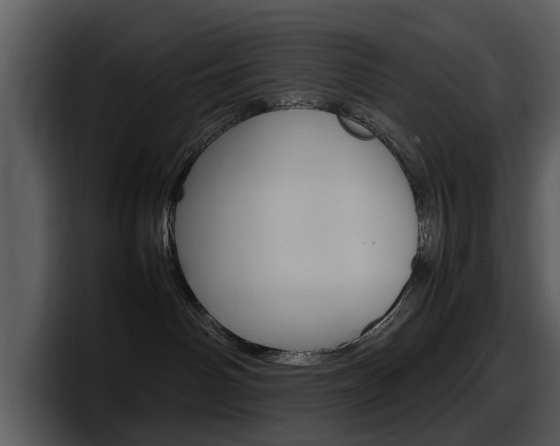 X0000098100142200804040754