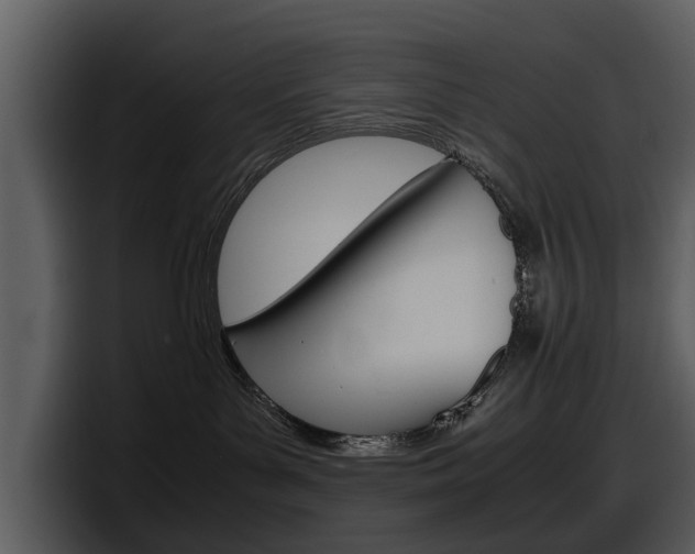 X0000098100143200804040754