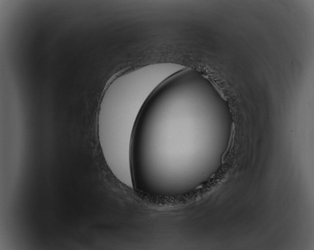 X0000098100144200804040754