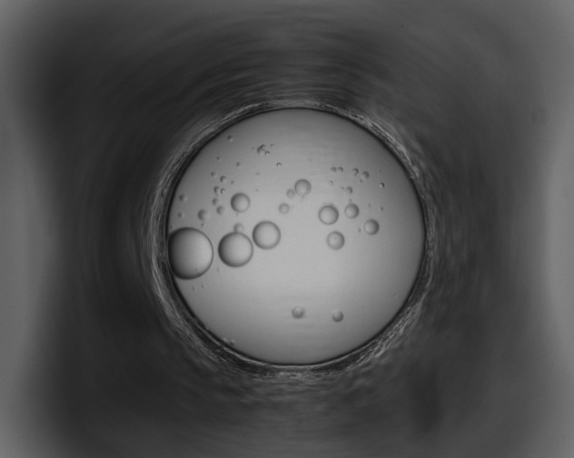 X0000098100145200804040753