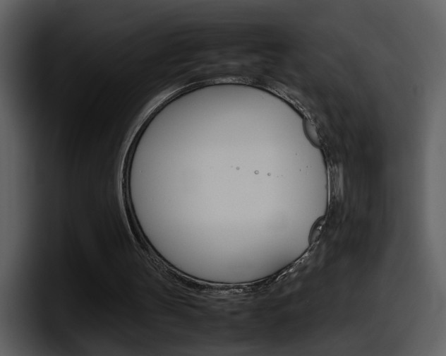 X0000098100147200804040753