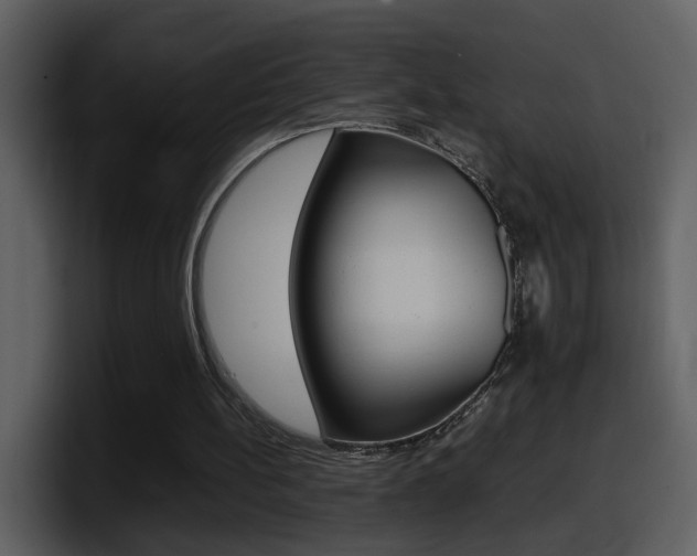 X0000098100148200804040753