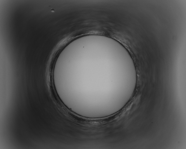 X0000098100149200804040753
