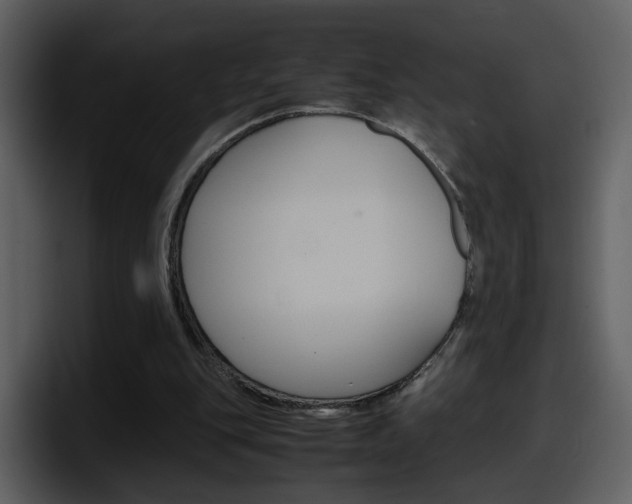 X0000098100151200804040753