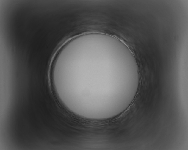 X0000098100152200804040753