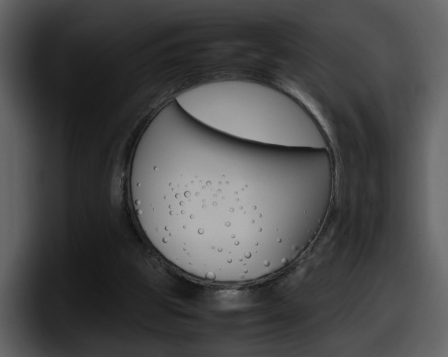 X0000098100153200804040753