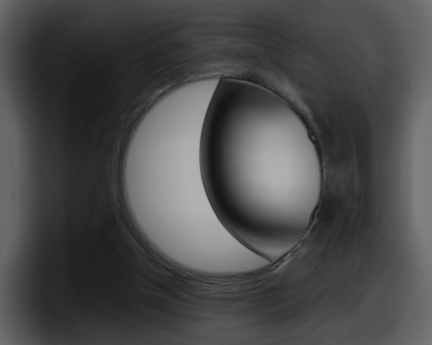 X0000098100154200804040753