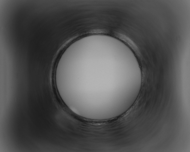 X0000098100155200804040753