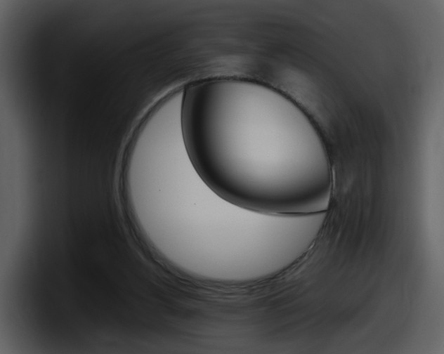X0000098100156200804040753