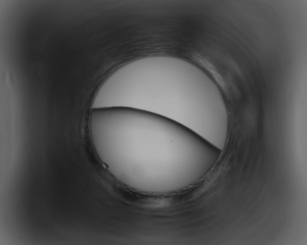 X0000098100161200804040753