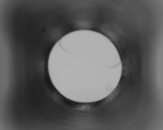 X0000098100162200804040753