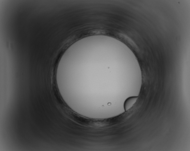 X0000098100163200804040753