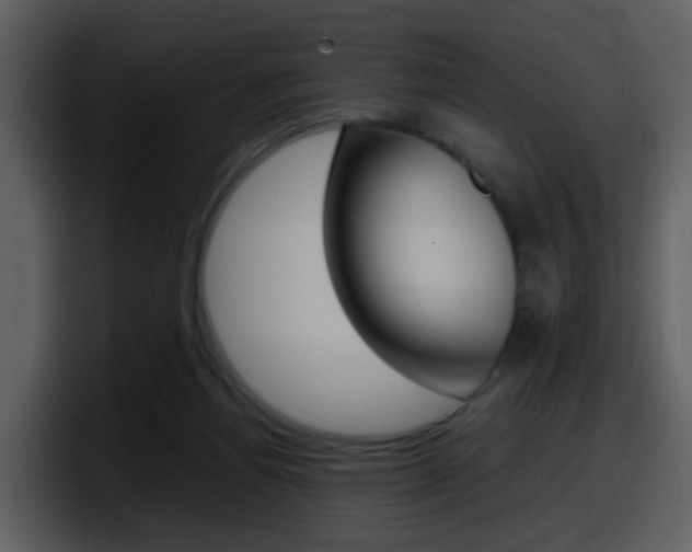 X0000098100164200804040753
