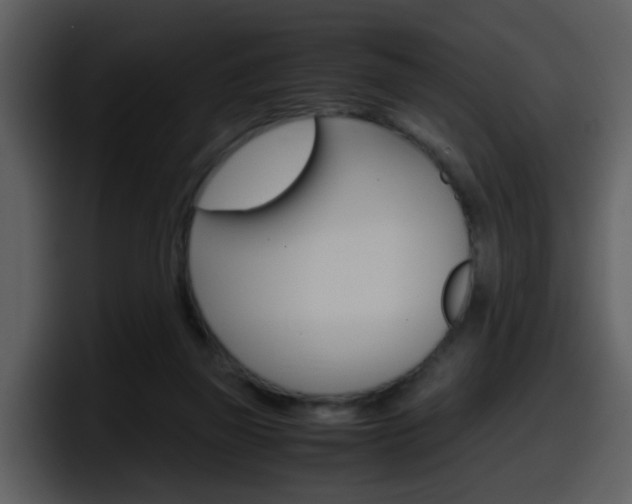 X0000098100165200804040753
