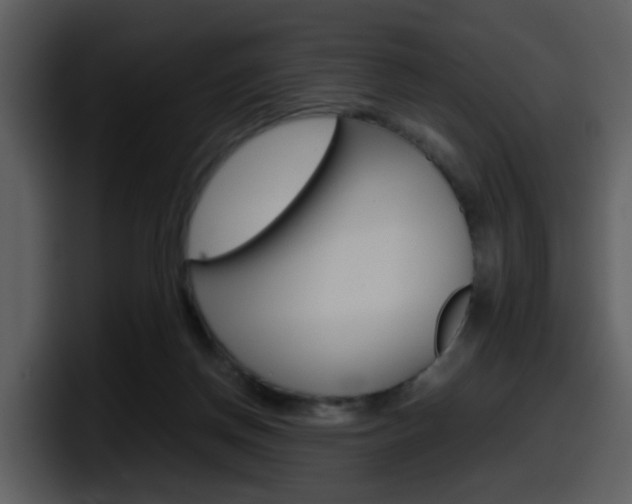 X0000098100166200804040753