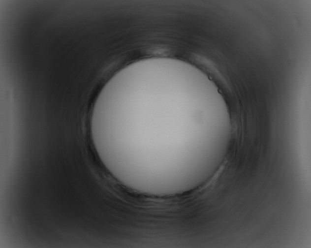 X0000098100167200804040753