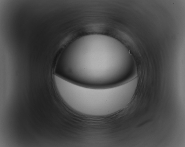 X0000098100168200804040753