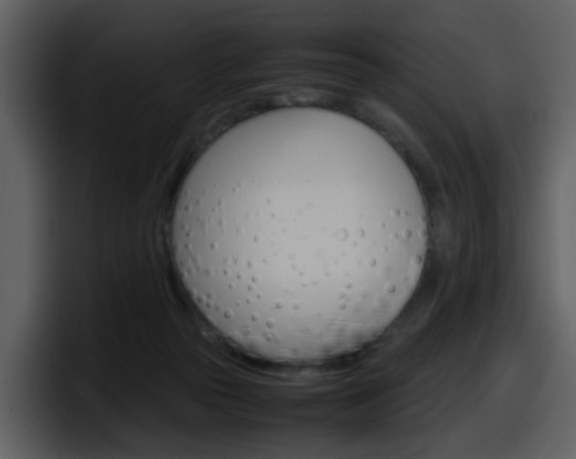 X0000098100169200804040753