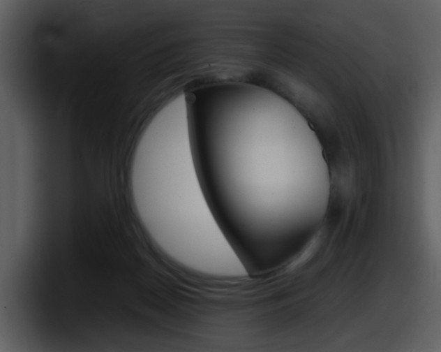 X0000098100170200804040753