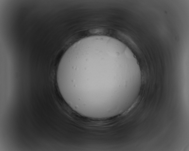 X0000098100171200804040753