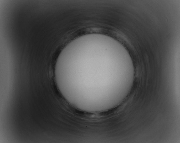 X0000098100173200804040753