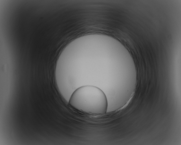 X0000098100174200804040753