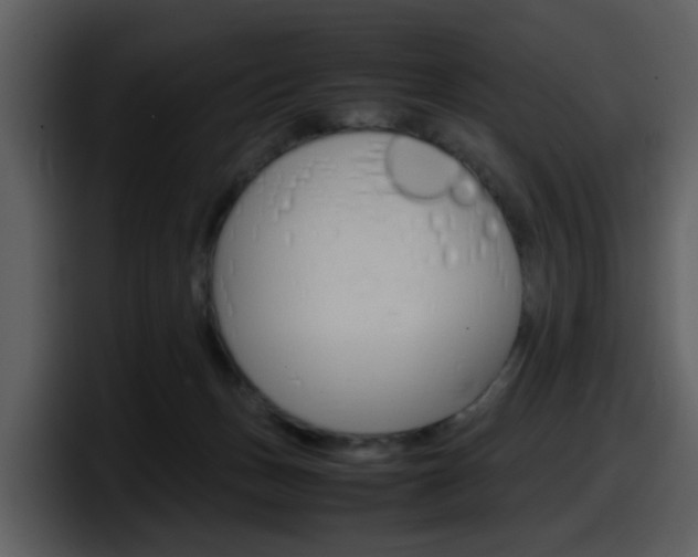 X0000098100175200804040753