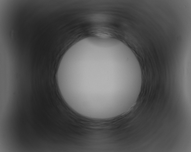 X0000098100176200804040753