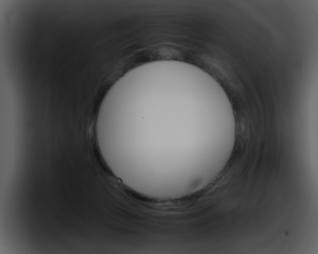 X0000098100177200804040753