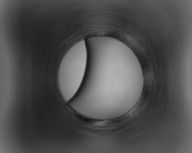 X0000098100178200804040754