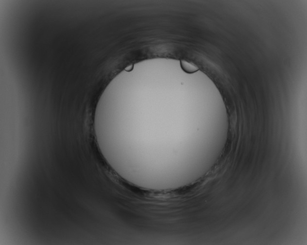 X0000098100181200804040754