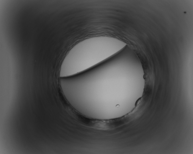 X0000098100182200804040754