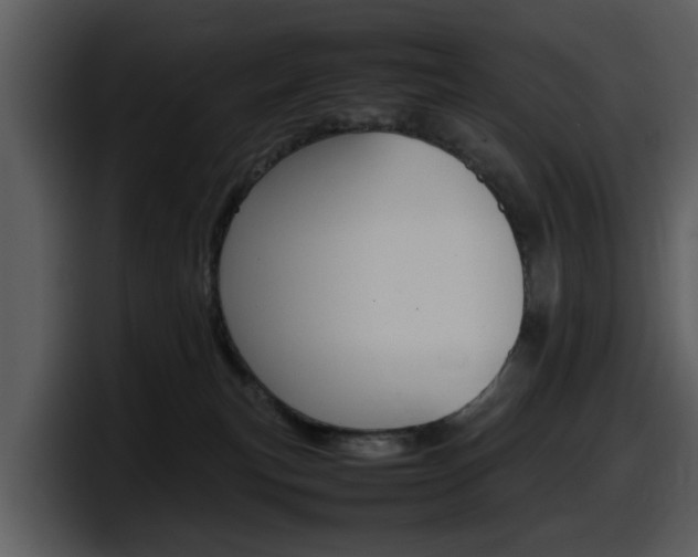 X0000098100183200804040754