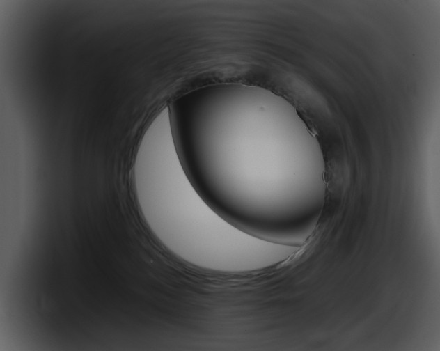 X0000098100184200804040754