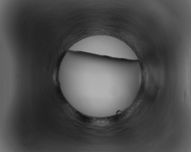 X0000098100185200804040754