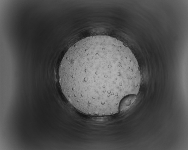 X0000098100187200804040754