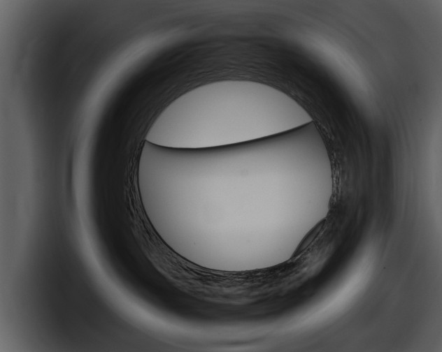 X0000098100191200804040754