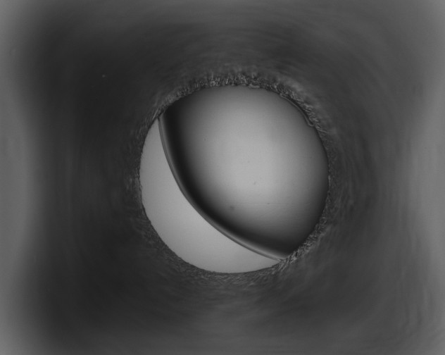 X0000098100192200804040754