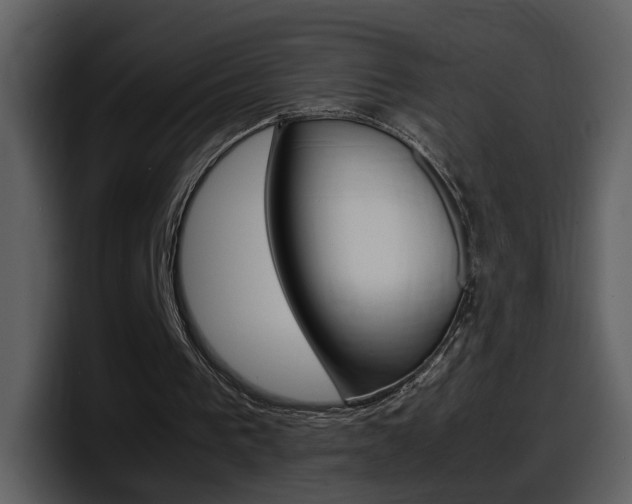 X0000098100193200804040753