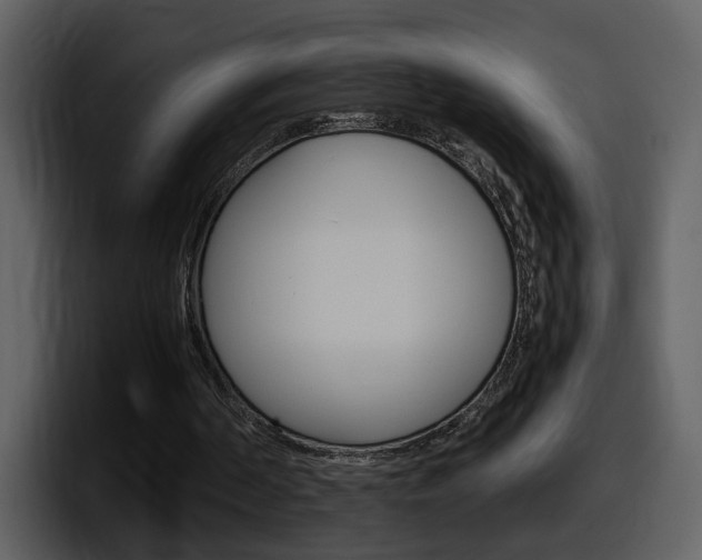 X0000098100194200804040753