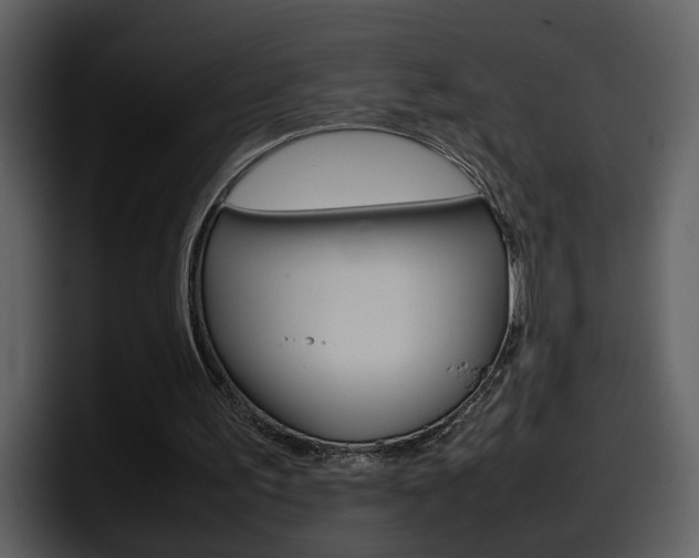 X0000098100195200804040753