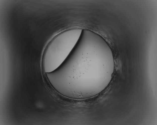 X0000098100196200804040753